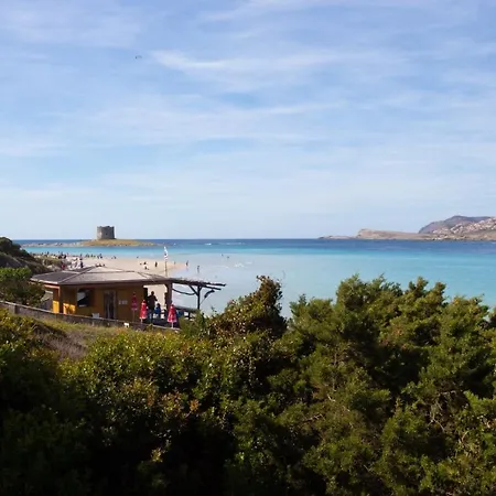 度假居 Panorama Sul Mare *